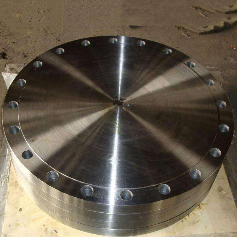 Ss L Forged Blind Flanges Astm A F L Uns N Din For