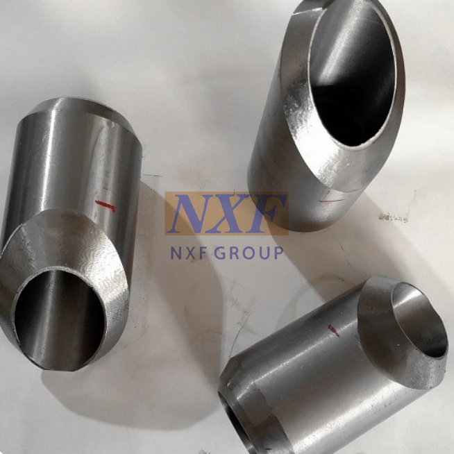 NXF ASTM A240 316Ti/0Cr18Ni12Mo2Ti DN15-1200 SCH10-XXS Stainless Steel ...