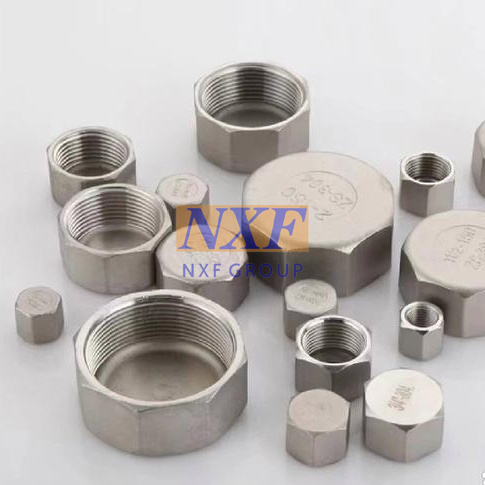 Thd Caps NXF ASTM A182 254SMO /F44 /S31254 /1.4547 Stainless Steel 254SMO Thd ...